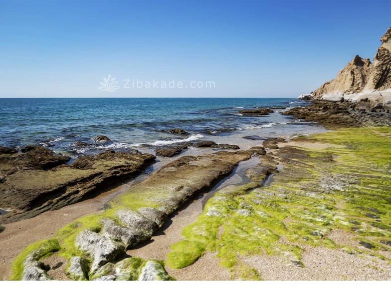 تفریحات تابستانی برای بزرگترها | سفرهای تابستانی | مکان های دیدنی | گردش های درون شهری